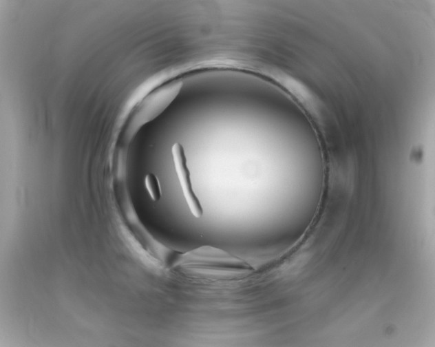 X0000092061238200709121348