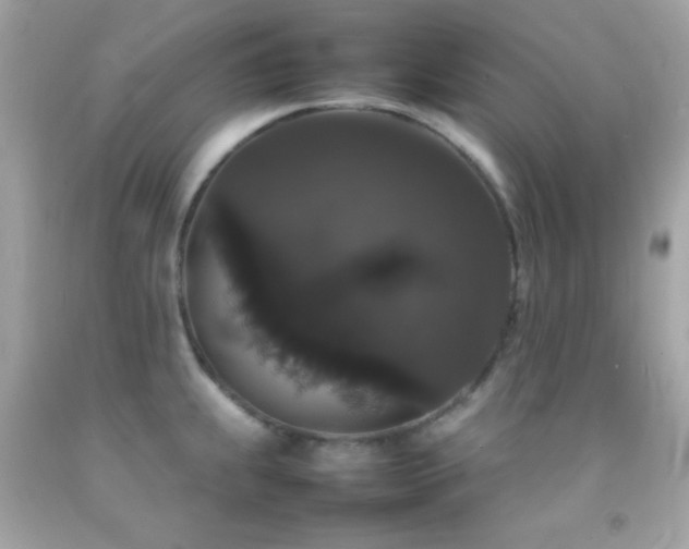 X0000092061239200709121348