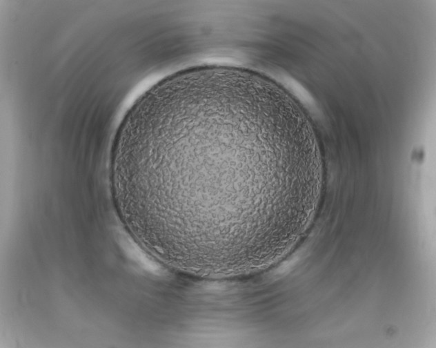 X0000092061240200709121348
