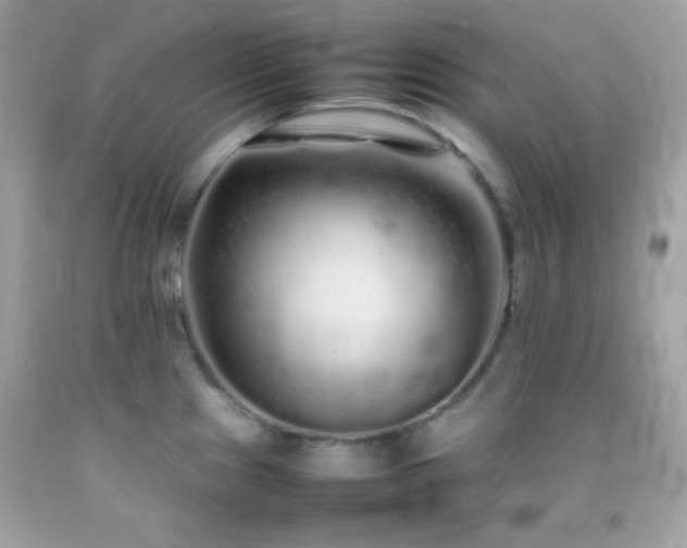 X0000092061241200709121348