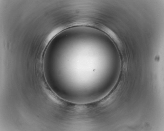 X0000092061242200709121348