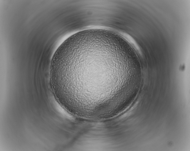 X0000092061244200709121348