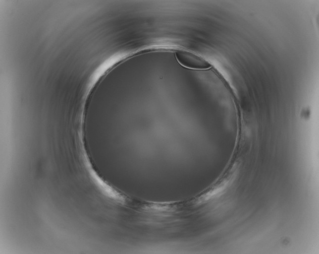X0000092061245200709121348