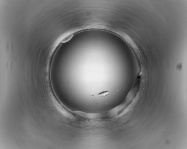 X0000092061246200709121348