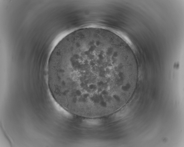 X0000092061247200709121348