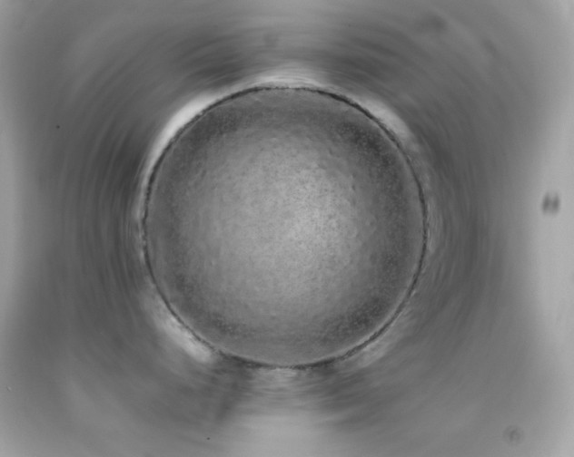 X0000092061248200709121348