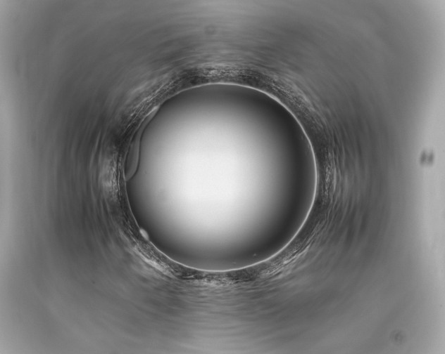 X0000092061250200709121348