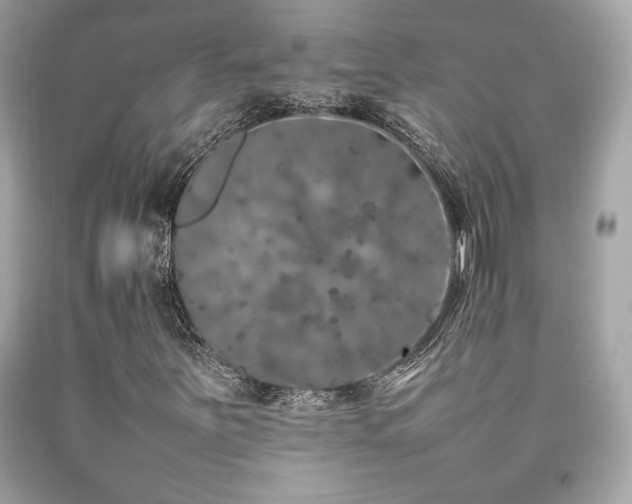 X0000092061251200709121348