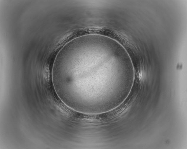 X0000092061252200709121347