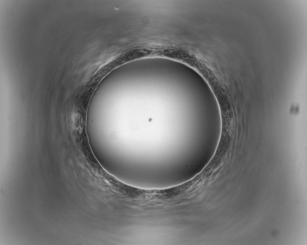 X0000092061253200709121347