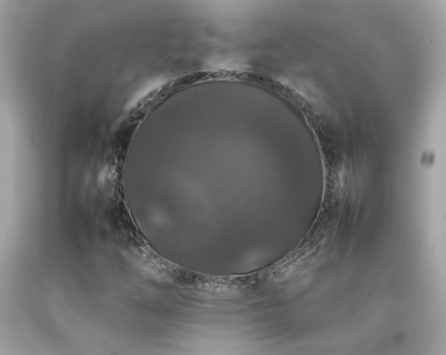 X0000092061254200709121347