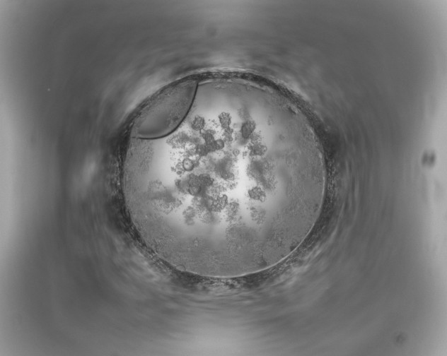 X0000092061255200709121347