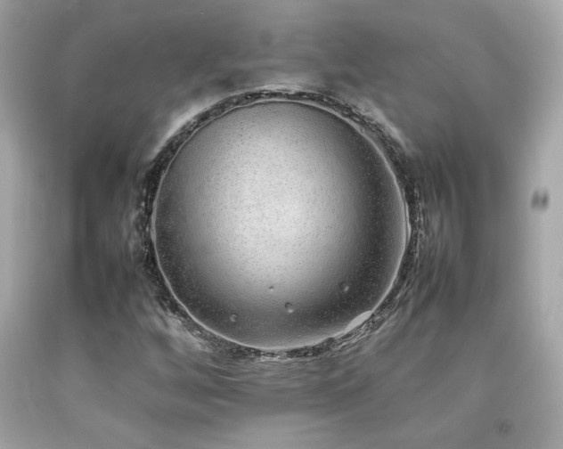 X0000092061256200709121347