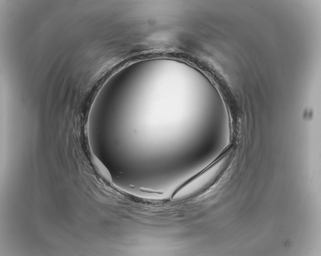 X0000092061257200709121347