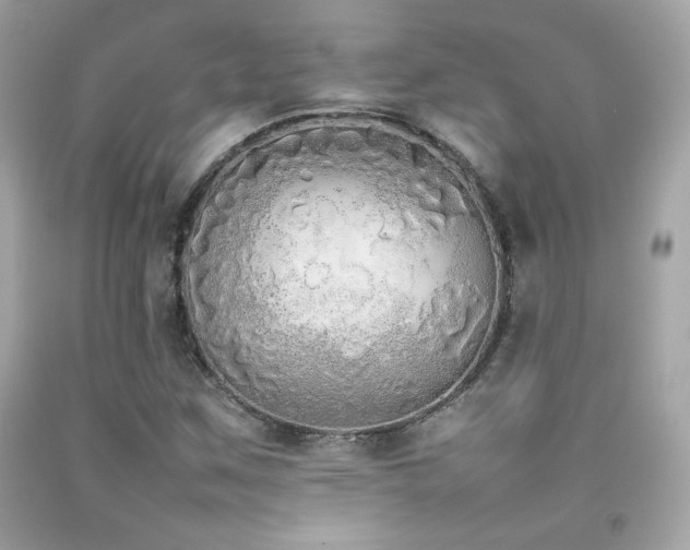 X0000092061259200709121347