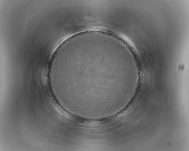 X0000092061260200709121347