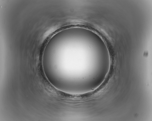X0000092061261200709121347