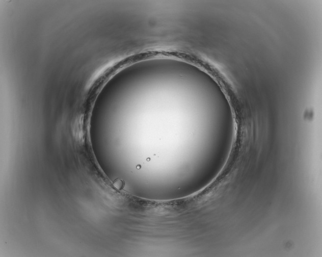 X0000092061262200709121347