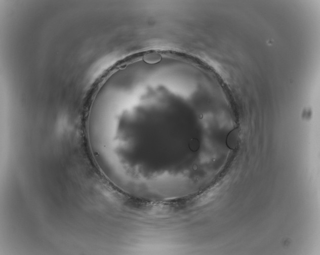 X0000092061263200709121347