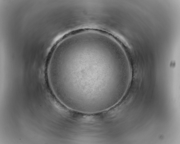 X0000092061264200709121347