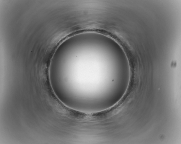 X0000092061265200709121347