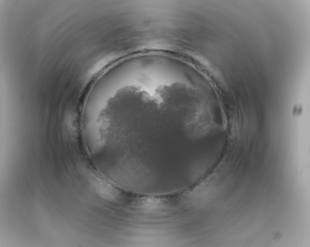 X0000092061266200709121347