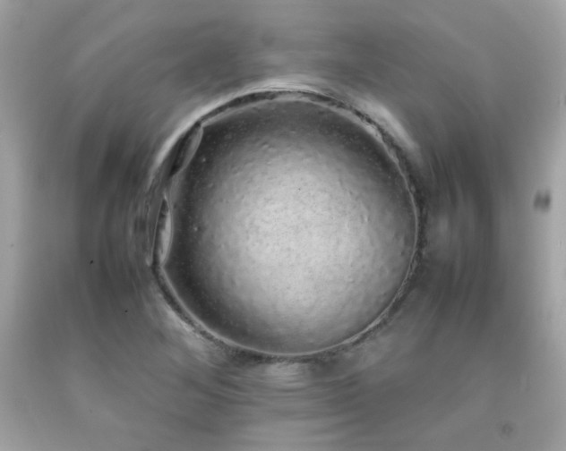 X0000092061268200709121347