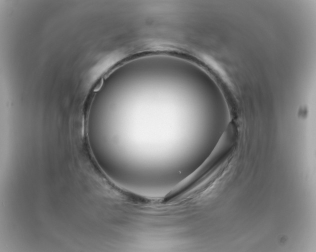 X0000092061269200709121347