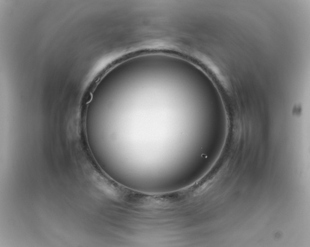 X0000092061270200709121347