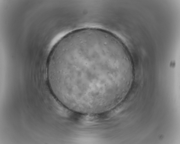 X0000092061271200709121347