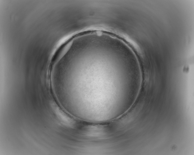 X0000092061272200709121347