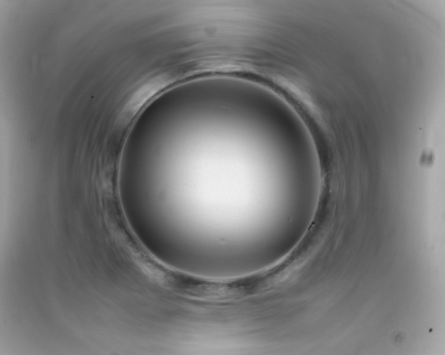 X0000092061273200709121347