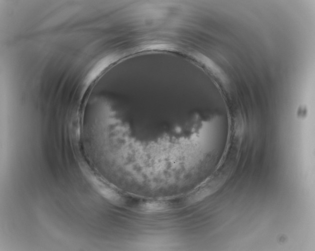 X0000092061274200709121347