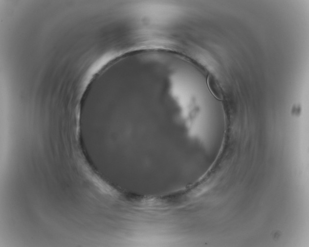 X0000092061275200709121347