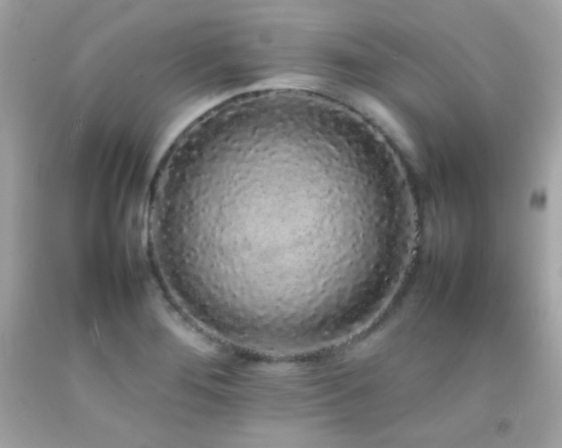 X0000092061276200709121347