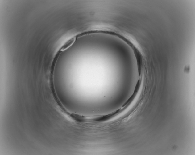 X0000092061277200709121347