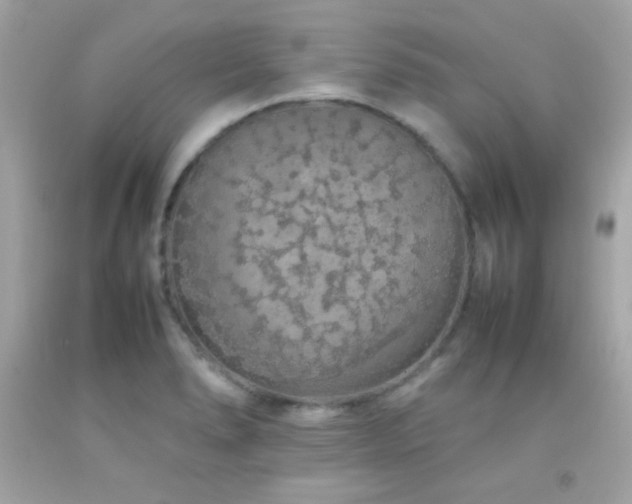 X0000092061278200709121347