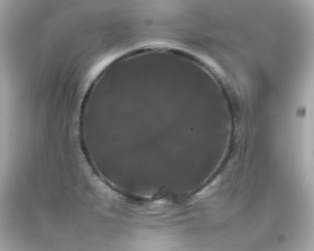 X0000092061279200709121347
