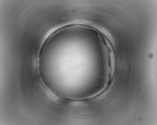 X0000092061280200709121347