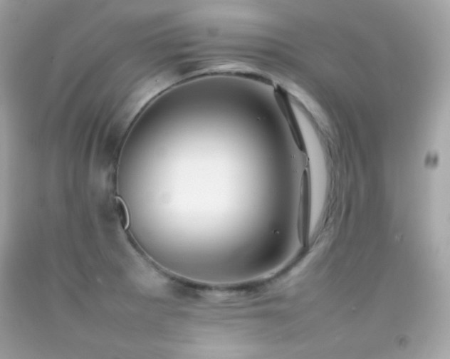 X0000092061281200709121347