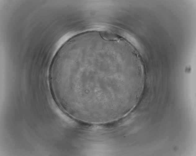 X0000092061283200709121347
