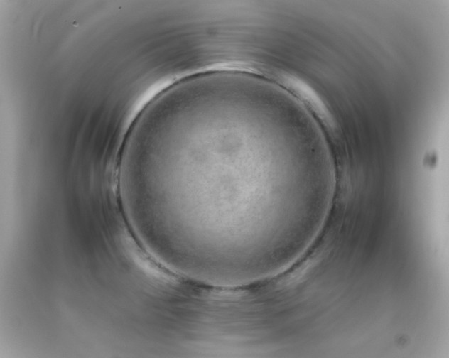 X0000092061284200709121347