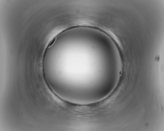 X0000092061285200709121347