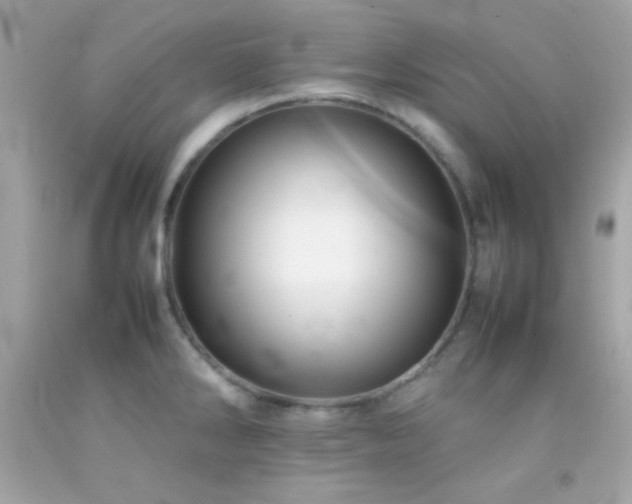 X0000092061286200709121347