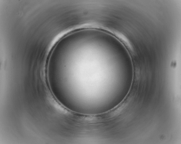 X0000092061288200709121347