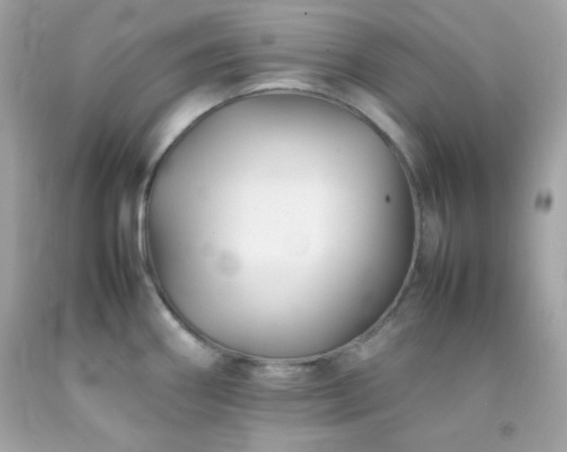 X0000092061290200709121347