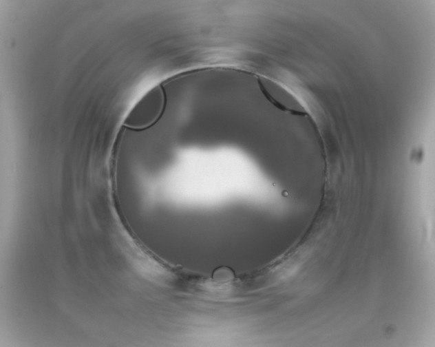 X0000092061291200709121347