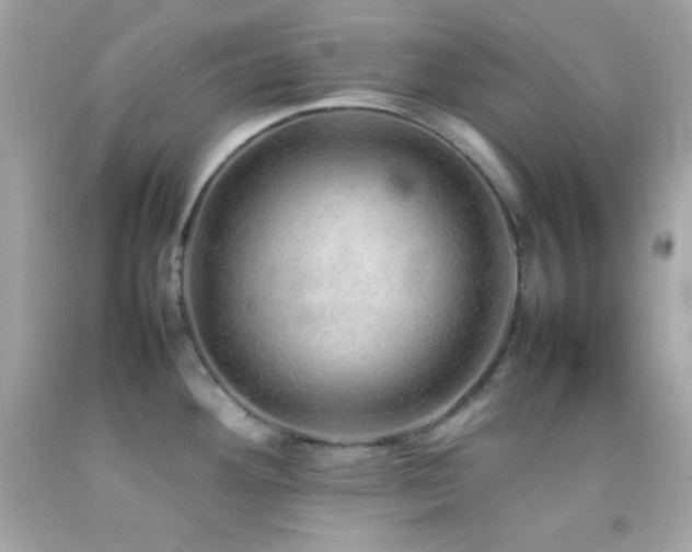 X0000092061292200709121347
