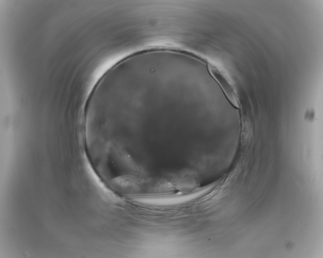 X0000092061295200709121347
