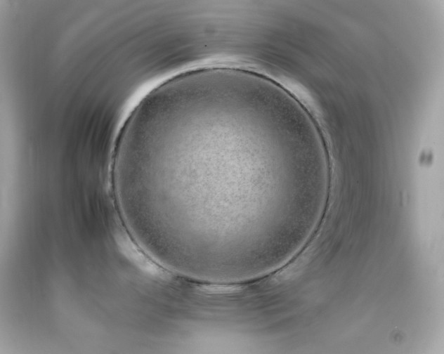 X0000092061296200709121347